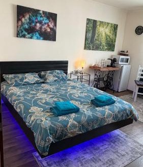 Campulung Moldovenesc Apartment | Alio Room Campulung Moldovenesc