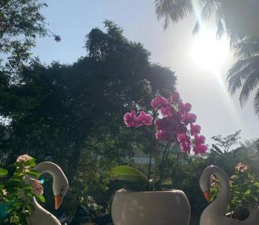 Alibaug Villa | Almond Villa Find Your Paradise