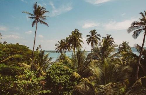 Mandrem Hotel | Alpa Viram Retreat Goa