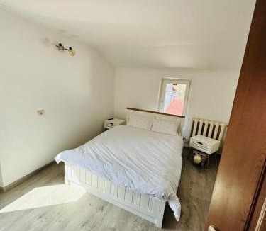 Busteni House | Alpine Noire