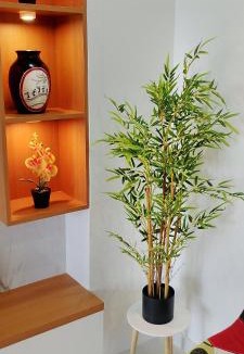 Ratnagiri Apartment | Amantara Homestay