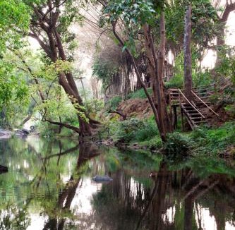 Kushalnagar Resort | Amanvana Spa Resort, Coorg