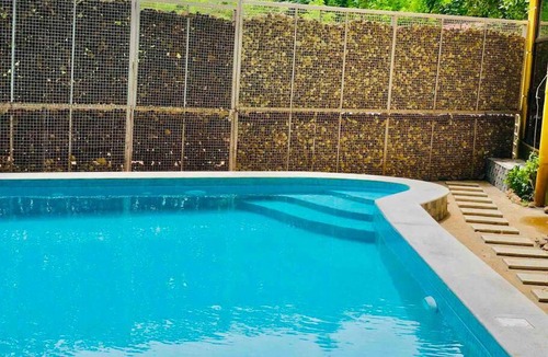Oxel Villa | Amarelo Goa