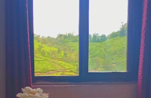 Elappara Apartment | Ambika Villa 3 bedrooms homestay in Vagamon