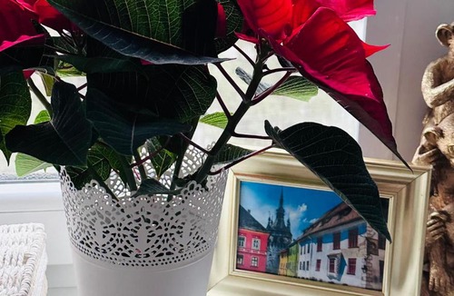 Sighisoara Apartment | Anna’s lovely Home
