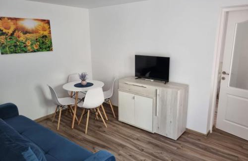 Constanta Apartment | Apartament 2 camere la curte cu foisor