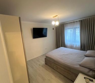 Piatra Neamt Apartment | Apartament Alex
