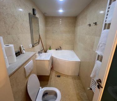 Piatra Neamt Apartment | Apartament Alex
