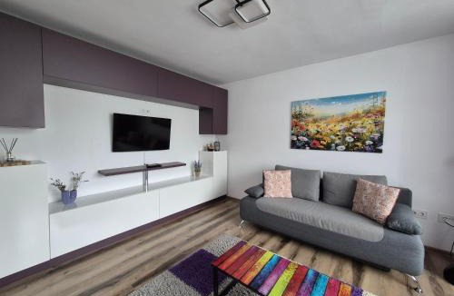 Piatra Neamt Apartment | Apartament ASR