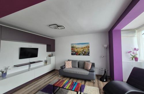 Piatra Neamt Apartment | Apartament ASR