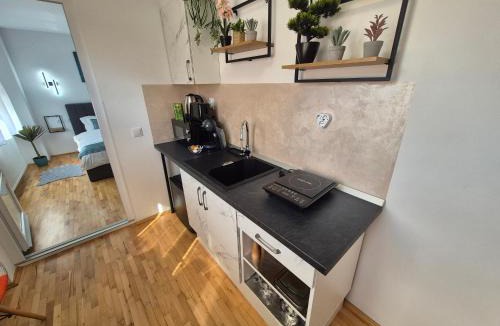 Tirgu Mures House | Apartament Central Luxe Suites Târgu Mureş