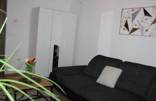 Tirgu Ocna Apartment | Apartament DANIA & PETRU