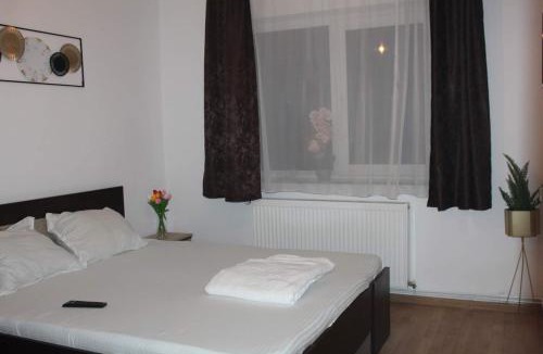 Tirgu Ocna Apartment | Apartament DANIA & PETRU