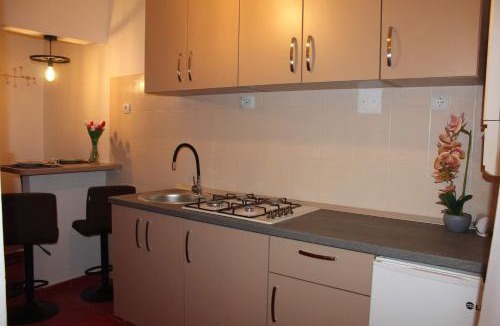 Tirgu Ocna Apartment | Apartament DANIA & PETRU
