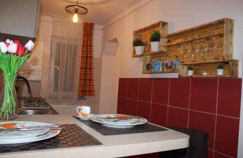 Tirgu Ocna Apartment | Apartament DANIA & PETRU
