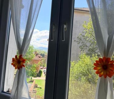 Petrosani Apartment | Apartament Iasmina 2