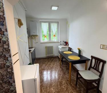 Petrosani Apartment | Apartament Iasmina 2