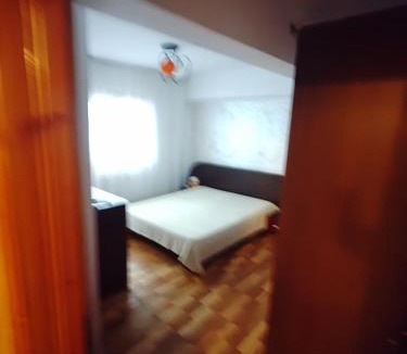Mehadia Apartment | Apartament Licuta