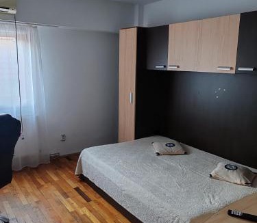 Mehadia Apartment | Apartament Licuta