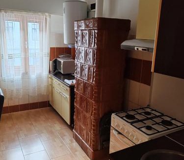 Mehadia Apartment | Apartament Licuta