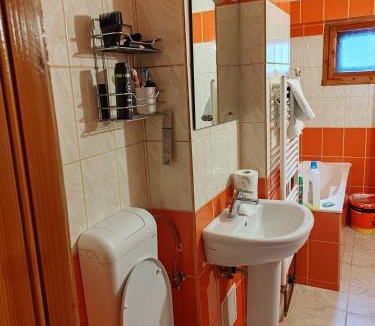 Mehadia Apartment | Apartament Licuta