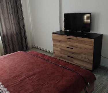 Tirgu Neamt Apartment | Apartament Manu 2 dormitoare