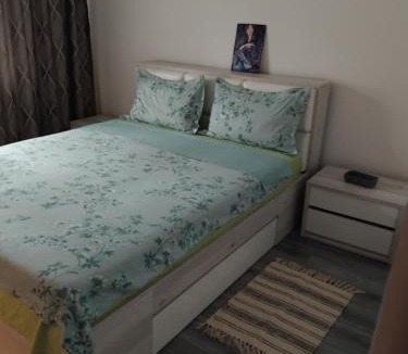 Tirgu Neamt Apartment | Apartament Manu 2 dormitoare