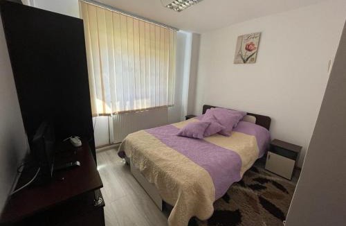 Horezu Apartment | Apartament Mioritza 2A