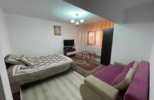 Horezu Apartment | Apartament Mioritza 2A