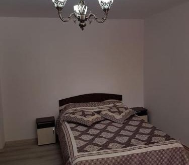 Horezu Apartment | Apartament Mioritza 2A