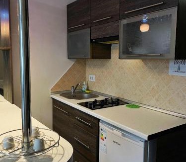 Piatra Neamt Apartment | Apartament Piatra Neamț Centru