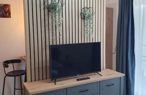 Tirgu Mures Apartment | Apartament Relaxa Green 2 Studio AC Parking