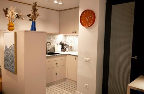 Tirgu Neamt Apartment | Apartament Studio - Târgu Neamț ,Premium Hotel Style