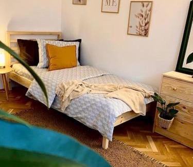 Tirgu Mures Apartment | Apartament Universitate UMFST