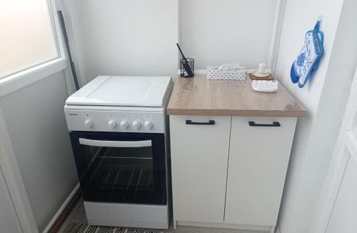 Campulung Apartment | Apartamentul Sarei