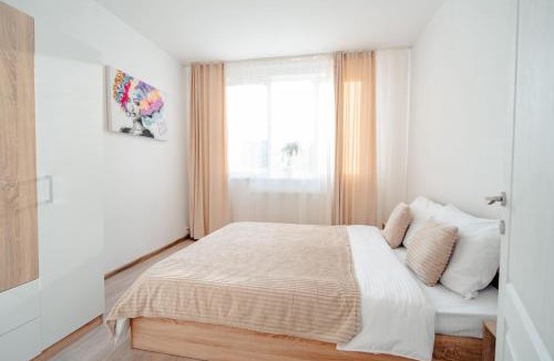 Sighetu Marmatiei Apartment | Apartment in Sighetu Marmației