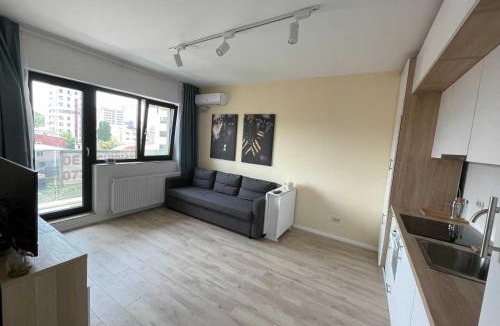 Sector 6 Apartment | Apartment