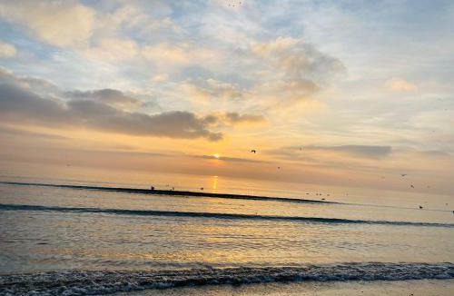 Mamaia-Sat Bed & Breakfast | Apartments Excelsior Mamaia Nord