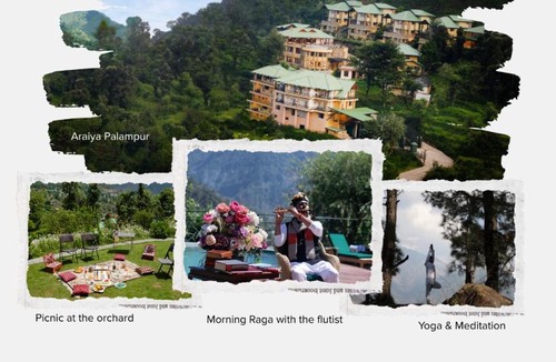 Jia Resort | Araiya Palampur