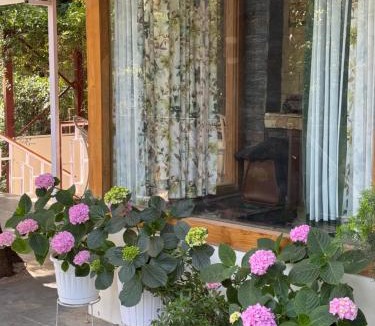 Nainital House | Arcelia Cottage, Cozy Villa in Nainital