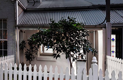 Erskineville Cottage | Architect Designed 2b Cosy Cottage. Great Location