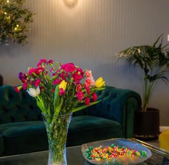 Zalau Hotel | Aria by Brilliant