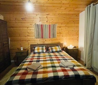 Arpasu de Sus House | Arpas Spirit