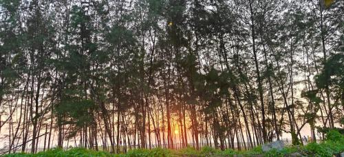 Cherthala House | ART Marari Beach house