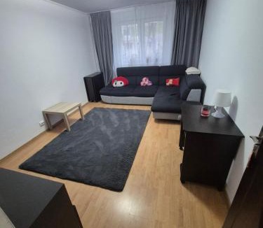 Sector 2 Apartment | ARTIFICII București