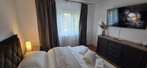 Timisoara Apartment | ASE URBAN STAY - free coffe included !