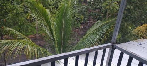 Elappara House | Asthra Homestay Vagamon
