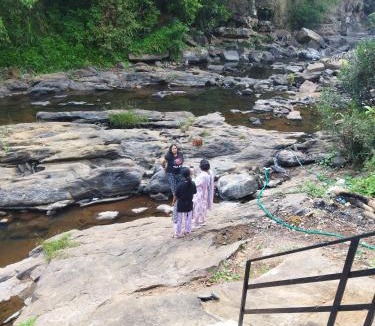 Elappara House | Asthra Homestay Vagamon