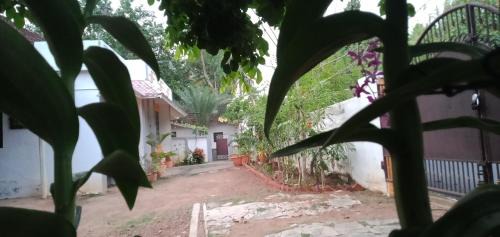 Kuzhithurai House | Athichans Homestay