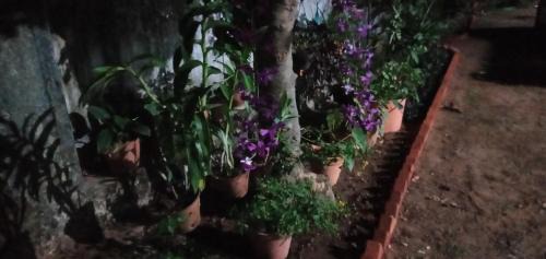 Kuzhithurai House | Athichans Homestay